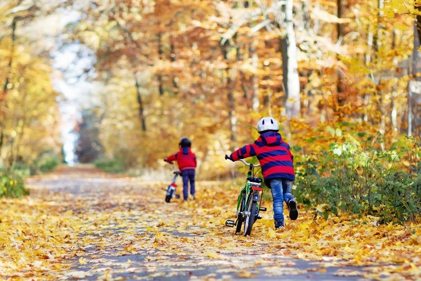 Kinder auf dem Fahrrad im Wald 