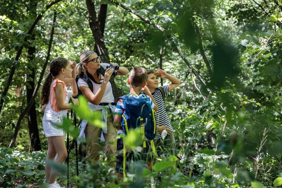 Kinder mit Lehrerin erkunden den Wald